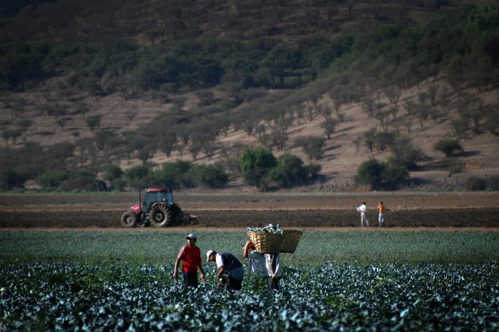 Gobierno decreta zona de emergencia agrícola en 17 comunas de la Región Metropolitana Gobierno decreta zona de emergencia agrícola en 17 comunas de la Región Metropolitana