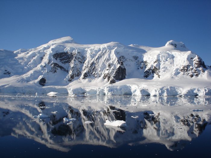 Encuentran toxinas similares a la marea roja en la Antártica Encuentran toxinas similares a la marea roja en la Antártica