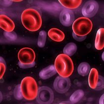 Día Mundial de la Leucemia: el trasplante de células madre de cordón umbilical como alternativa de tratamiento
