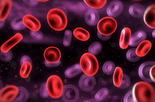 Día Mundial de la Leucemia: el trasplante de células madre de cordón umbilical como alternativa de tratamiento