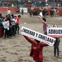 Animalistas harán banderazo en Santiago para exigir fin del rodeo