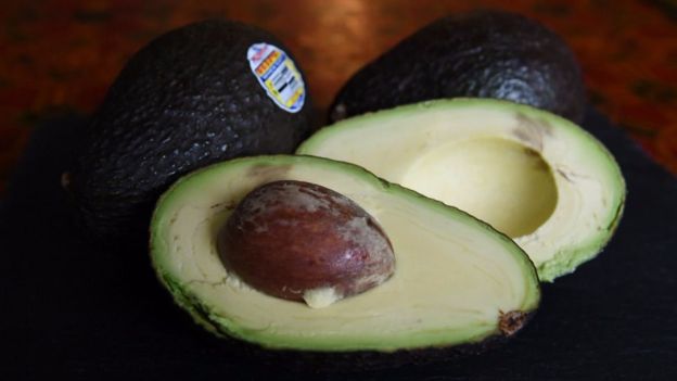 Los daños ocultos que provoca la palta en México Los daños ocultos que provoca la palta en México