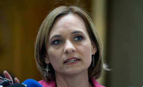 Goic rechaza dichos de Fernández y le pide «prudencia» Goic rechaza dichos de Fernández y le pide
