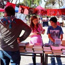 2da Feria del Libro Usado de Quilpué en Plaza Vieja de Quilpué. Entrada liberada