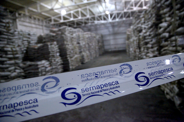 Pescadores artesanales denuncian negligencia de Sernapesca Pescadores artesanales denuncian negligencia de Sernapesca