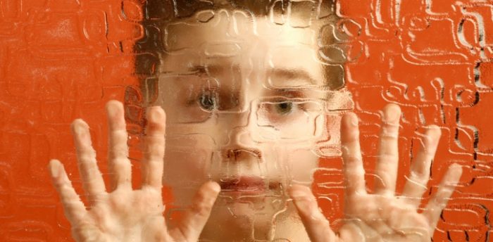 Estudiando dientes de leche científicos descubren fallas cerebrales del autismo Estudiando dientes de leche científicos descubren fallas cerebrales del autismo