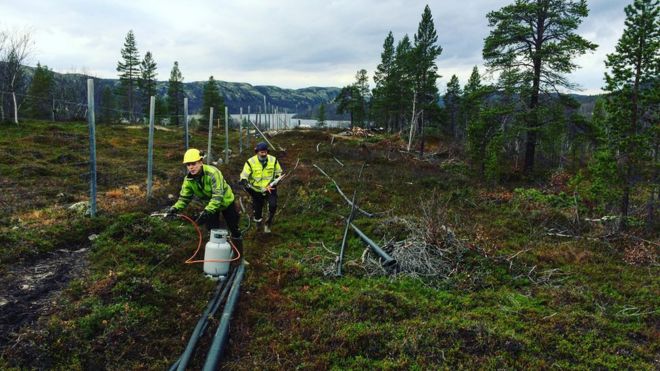 Por qué Noruega levanta un muro de acero en su frontera con Rusia, en un lugar que sólo se puede cruzar en bicicleta Por qué Noruega levanta un muro de acero en su frontera con Rusia, en un lugar que sólo se puede cruzar en bicicleta