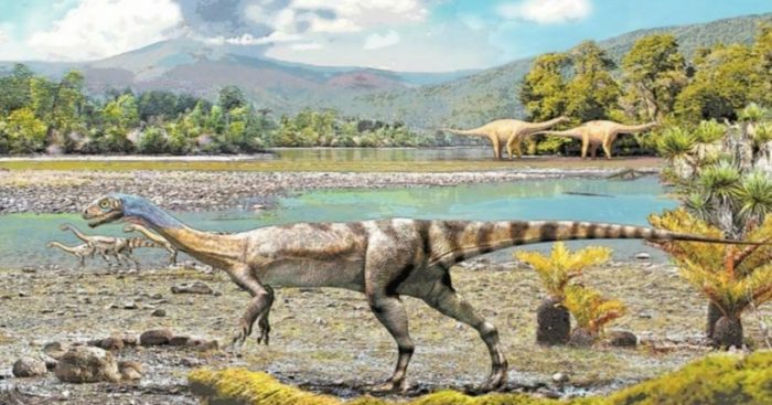 Hallazgo de fósil en la Antártida puede explicar extinción de los dinosaurios Hallazgo de fósil en la Antártida puede explicar extinción de los dinosaurios