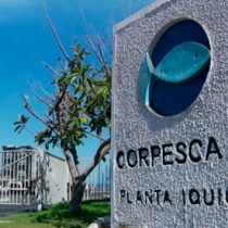 Caso Corpesca: incautan documentos y computadores en oficinas de seis empresas ubicadas en barrio El Golf