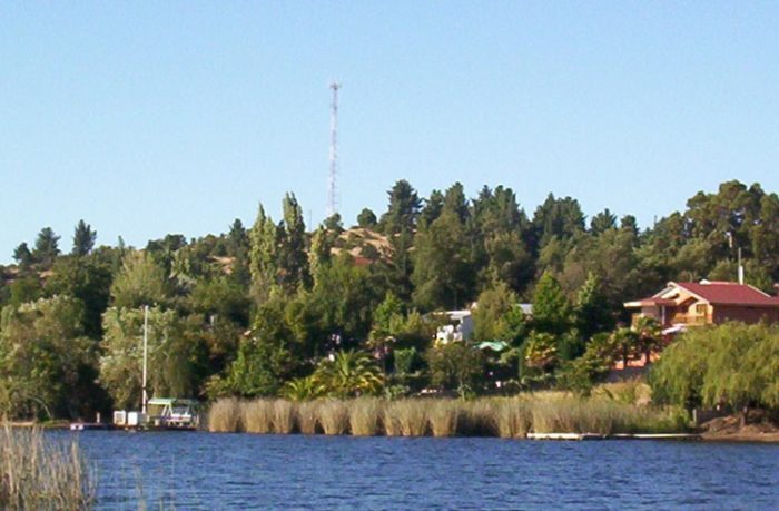 Los territorios que viven debajo de la industria forestal Los territorios que viven debajo de la industria forestal