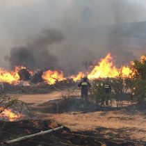 Declaran Alerta Roja en San José de Maipo y Peñalolén por incendios forestales