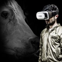 A través de una experiencia virtual, Animal Libre te 