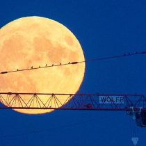 [VIDEO VIDA] Así se admiró la súper Luna, desde Nueva York a Madrid