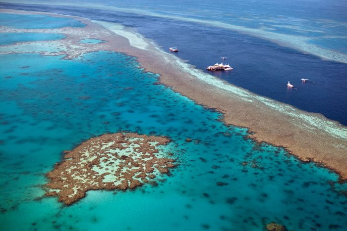 El paraíso perdido: la crisis en la Gran Barrera de Coral