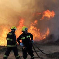 1.775 hectáreas afectadas por incendio forestal en Ercilla