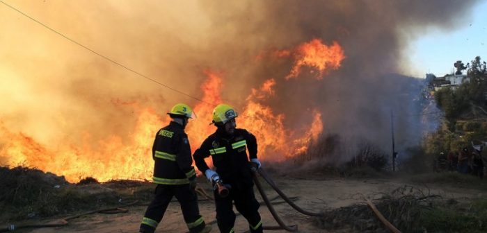 1.775 hectáreas afectadas por incendio forestal en Ercilla