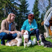 Jubilados alemanes arriendan mascotas o ayudan en refugios de animales