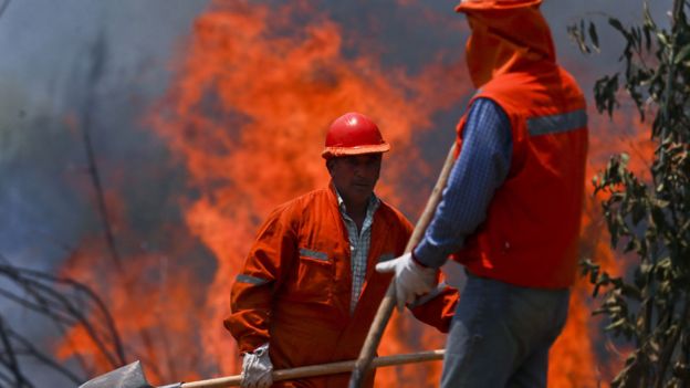 Tormentas de fuego y llamas que avanzan a 1.500 hectáreas por hora: cómo vive Chile los peores incendios de su historia