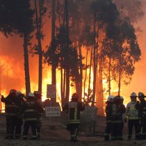Onemi reporta: 142 incendios forestales activos y 290 mil hectáreas afectadas