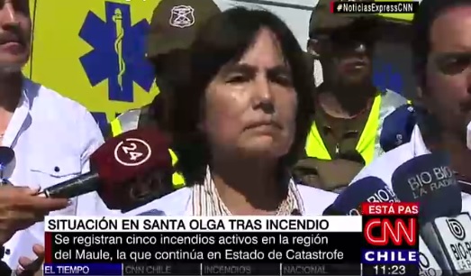 Ministra Castillo por peligro de rebrote de virus Hanta en zonas incendiadas: 