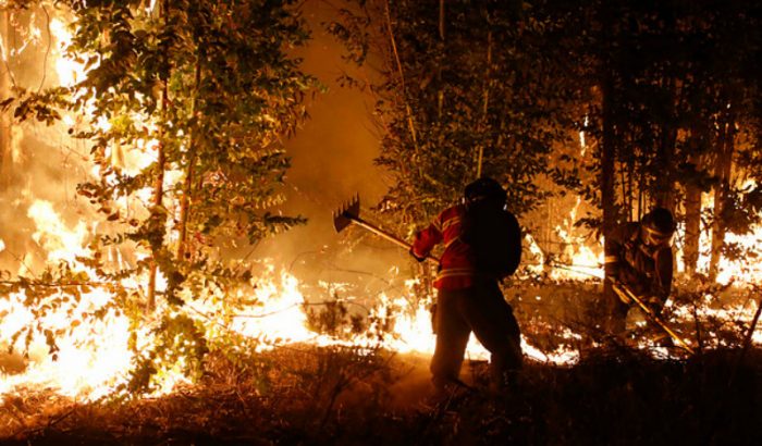 Gobierno decreta estado de catástrofe en zonas afectadas por incendios forestales Gobierno decreta estado de catástrofe en zonas afectadas por incendios forestales