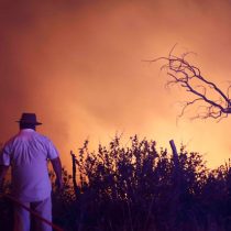 Evacuan a más de 200 personas en Pichilemu y Paredones por avance de incendio forestal