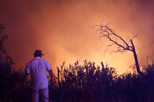 Dos ejecutivos de CGE quedan con prisión preventiva por el delito de incendios forestales Dos ejecutivos de CGE quedan con prisión preventiva por el delito de incendios forestales
