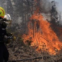 Empresa eléctrica CGE en la mira de la Fiscalía por origen de incendio en Pumanque