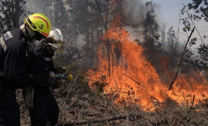 Gobierno solicita ayuda internacional para combatir incendios Gobierno solicita ayuda internacional para combatir incendios