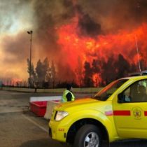 Incendio forestal en Camino la Pólvora en Valparaíso se encuentra controlado