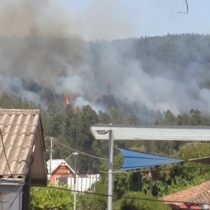 [VIDEO] Incendio forestal en Dichato se propaga rápidamente y amenaza a viviendas cercanas