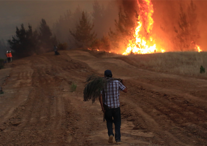 Reporte de Conaf indica que 3.066 incendios forestales han afectado al país desde el inicio de la temporada