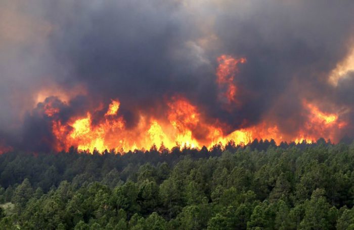 Fiscalía detiene a sujeto responsable de iniciar foco de incendio en La Araucanía Fiscalía detiene a sujeto responsable de iniciar foco de incendio en La Araucanía