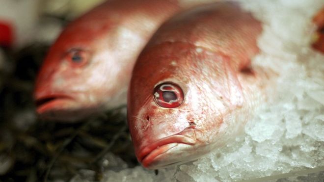 Por qué comer pescado puede ser menos saludable con el aumento de las temperaturas en el planeta