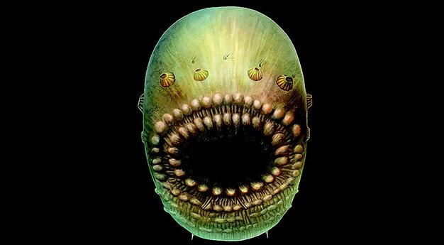 Saccorhytus, la criatura marina que pudo ser el primer abuelo del ser humano