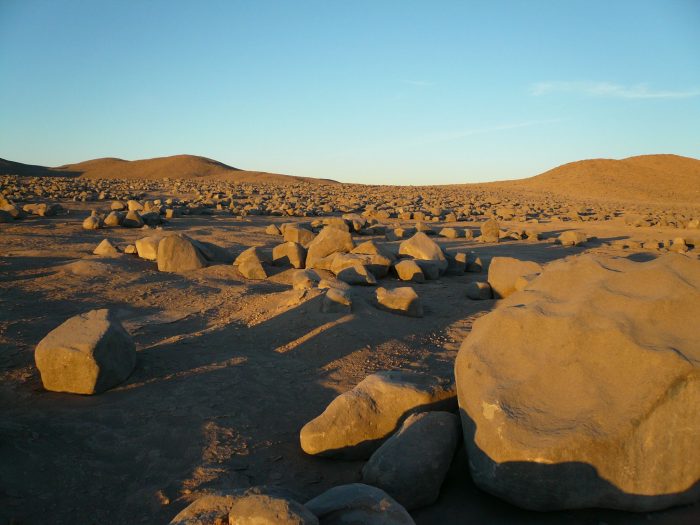 Investigaciones científicas en el desierto de Atacama podrían ayudar a la agricultura a enfrentar la sequía