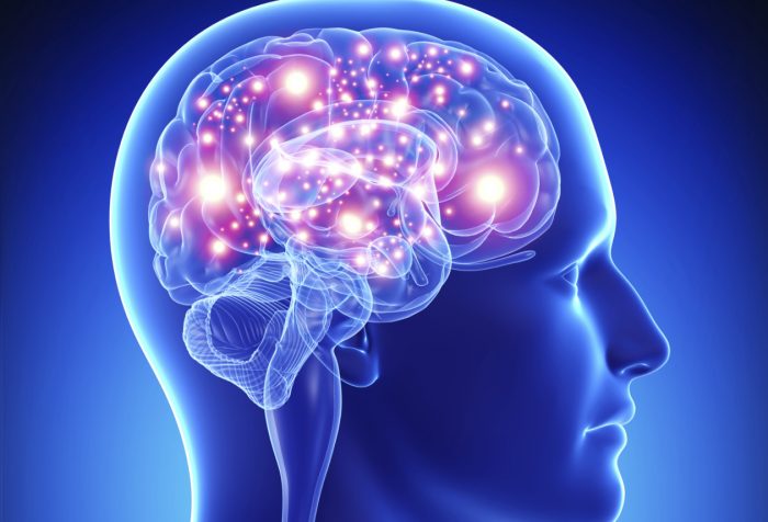 «La capacidad cerebral no veo por dónde vaya a ser reemplazada por la inteligencia artificial»