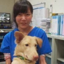 La desgarradora historia de la veterinaria que se suicidó con el mismo fármaco con el que sacrificó a cientos de perros