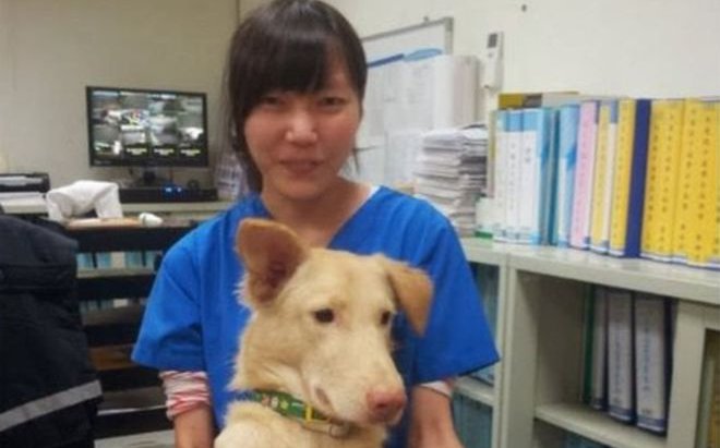 La desgarradora historia de la veterinaria que se suicidó con el mismo fármaco con el que sacrificó a cientos de perros
