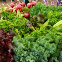 Las propiedades de cuatro verduras orgánicas que debes consumir esta temporada