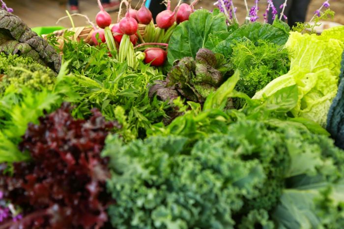 Las propiedades de cuatro verduras orgánicas que debes consumir esta temporada Las propiedades de cuatro verduras orgánicas que debes consumir esta temporada
