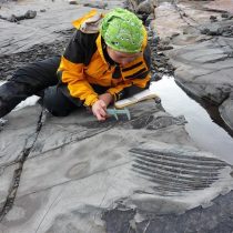 Científica chilena halla dinosaurio en trabajo de parto en Torres del Paine