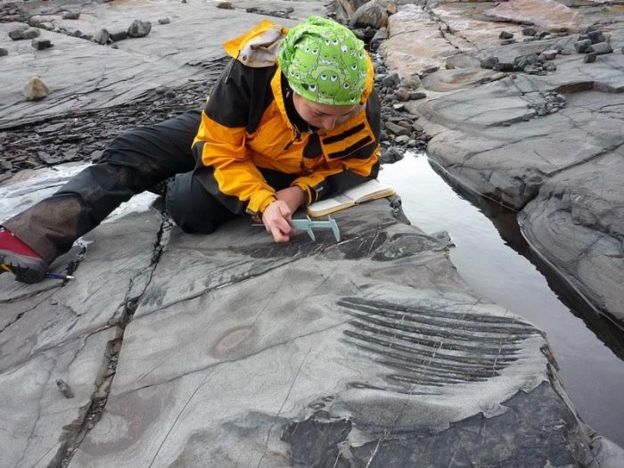 Científica chilena halla dinosaurio en trabajo de parto en Torres del Paine Científica chilena halla dinosaurio en trabajo de parto en Torres del Paine