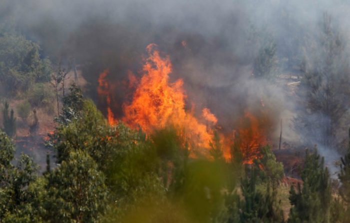 Onemi se equivoca y alcaldesa de Parral sale a aclarar cifra de casas destruidas por incendio