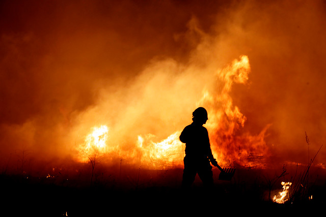 Organizaciones sociales denuncian a empresas por incendios forestales Organizaciones sociales denuncian a empresas por incendios forestales