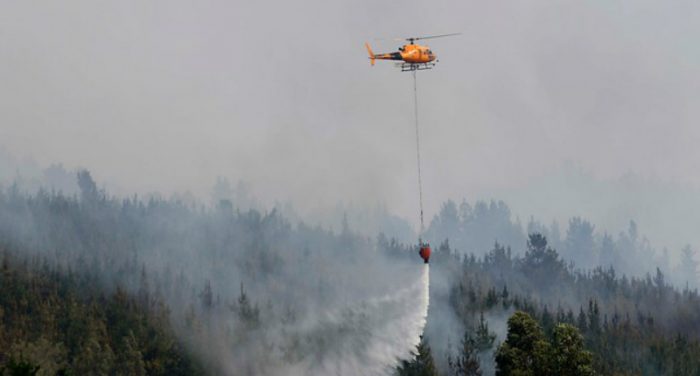 Cartel del fuego: Fiscalía pide a España antecedentes por fraude de empresas contra incendios Cartel del fuego: Fiscalía pide a España antecedentes por fraude de empresas contra incendios