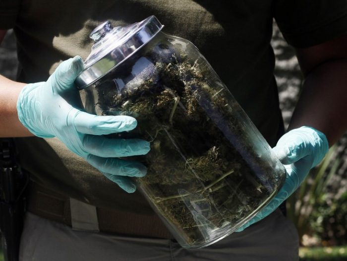Droga en las Fuerzas Armadas: cerca de 300 funcionarios han sido sancionados Droga en las Fuerzas Armadas: cerca de 300 funcionarios han sido sancionados