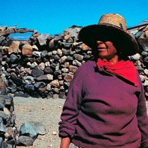 Día Internacional de la Lengua Materna: Cómo se revitaliza en Chile el idioma de los pueblos originarios