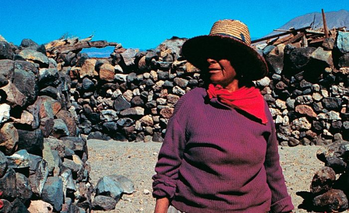 Día Internacional de la Lengua Materna: Cómo se revitaliza en Chile el idioma de los pueblos originarios Día Internacional de la Lengua Materna: Cómo se revitaliza en Chile el idioma de los pueblos originarios