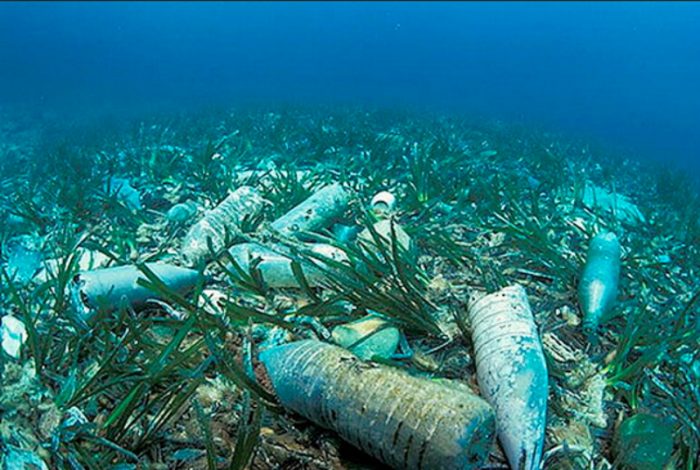 ONU lanza campaña mundial para acabar con residuos de plástico en los océanos ONU lanza campaña mundial para acabar con residuos de plástico en los océanos